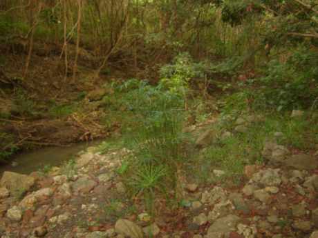 barbados hiking